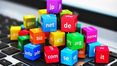تاثیر پسوند دامنه بر سئو