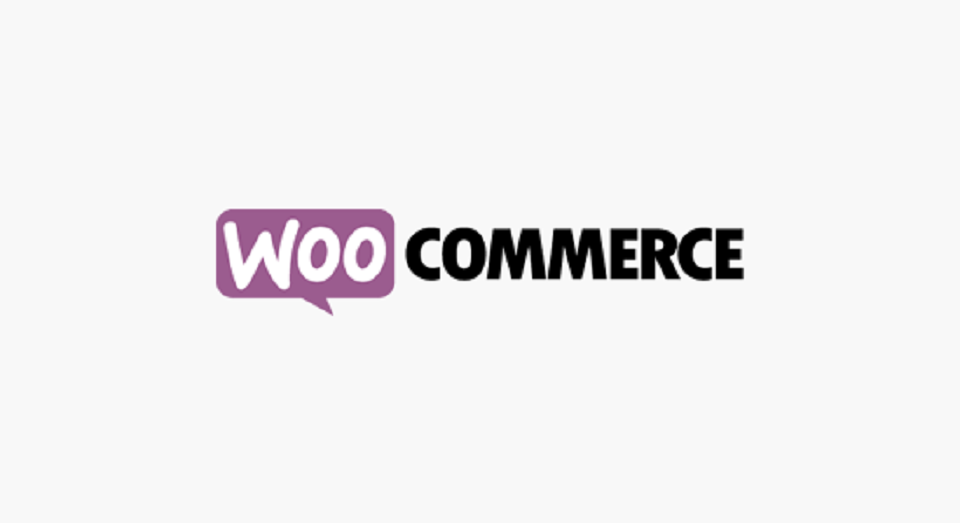 افزونه های پرداخت وردپرس : woocommerce