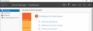 نصب DNS Server