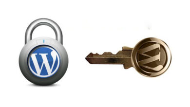 بررسی امنیت افزونه وردپرس